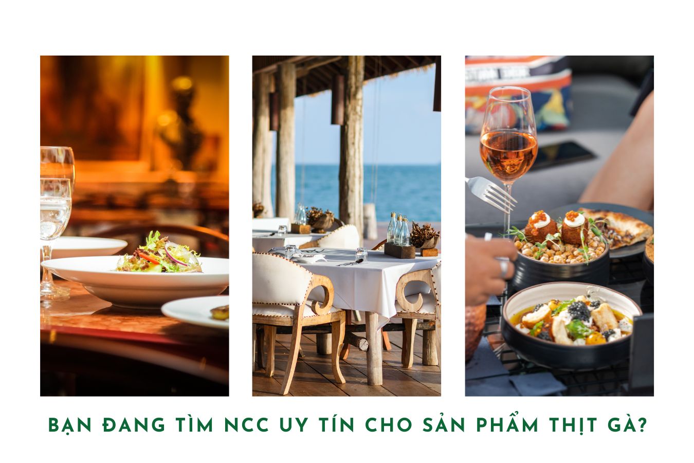 cung cấp thịt gà cho nhà hàng, quán ăn, khách sạn